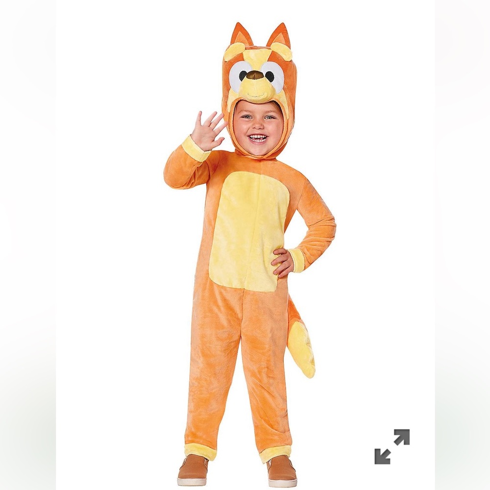Bingo costume- Bluey